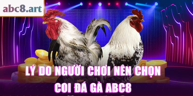 Lý do người chơi nên chọn coi đá gà tại KUBET