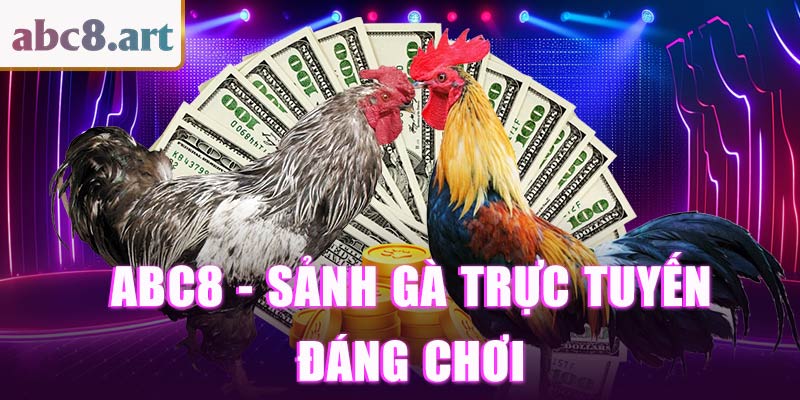 KUBET - Top trang đá gà uy tín hàng đầu hiện nay