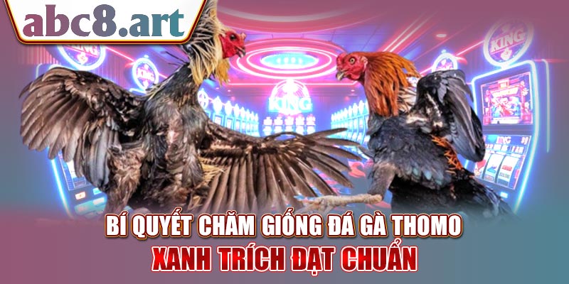 Bí quyết chăm gà Thomo xanh trích đạt chuẩn